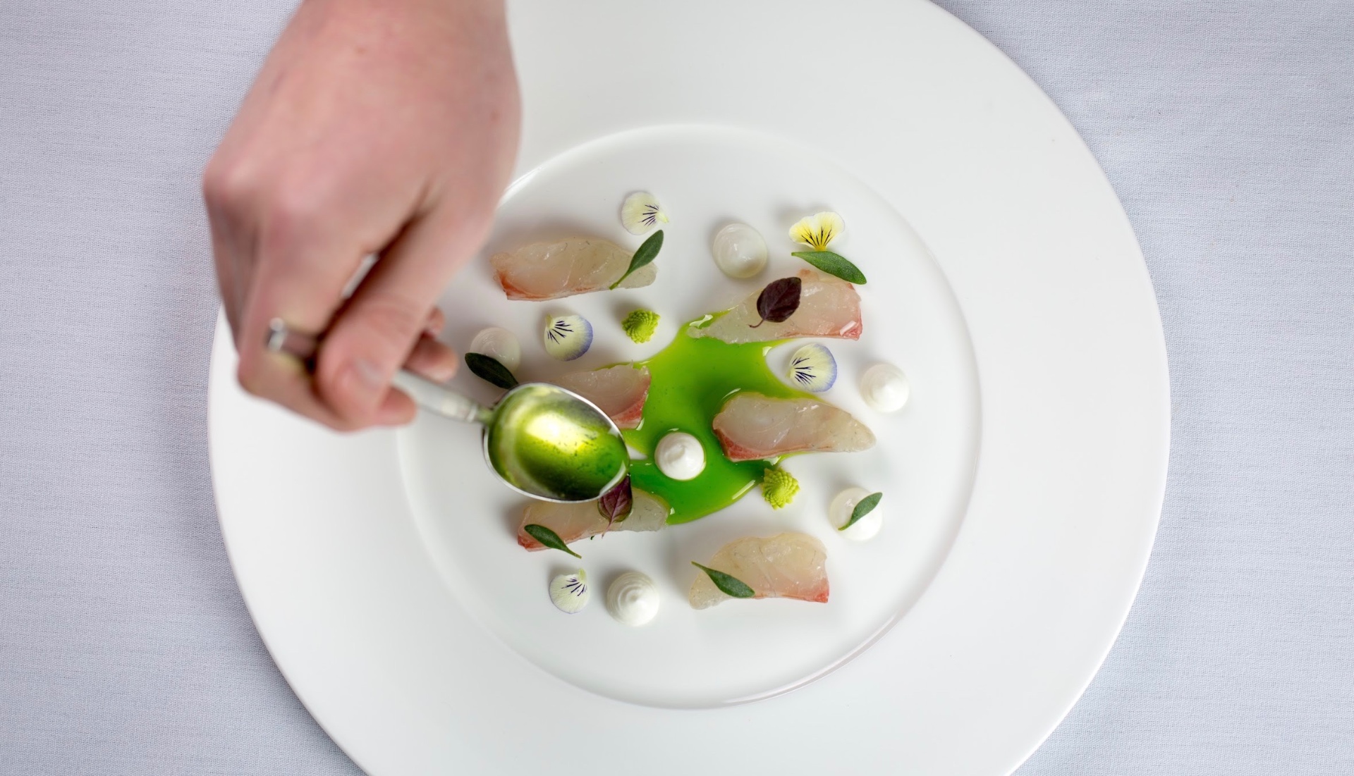 Chef spooning herb oil over crudo, finished plate on the pass